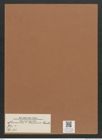 Navicula raeana Ehr. (de-Toni-Nr.: Genus 1, Species 77) Zeichnungen Sammlung Grunow Mappe 00056 (Herbarium_W_Grunow_drawings_Folder_00056)